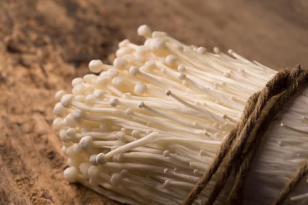 enoki mushroom